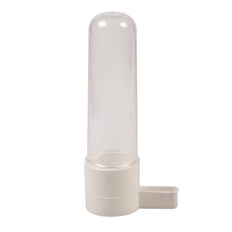 Grote fontein met ring