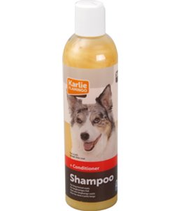 Shampoo+conditioner 2 in 1 300ml