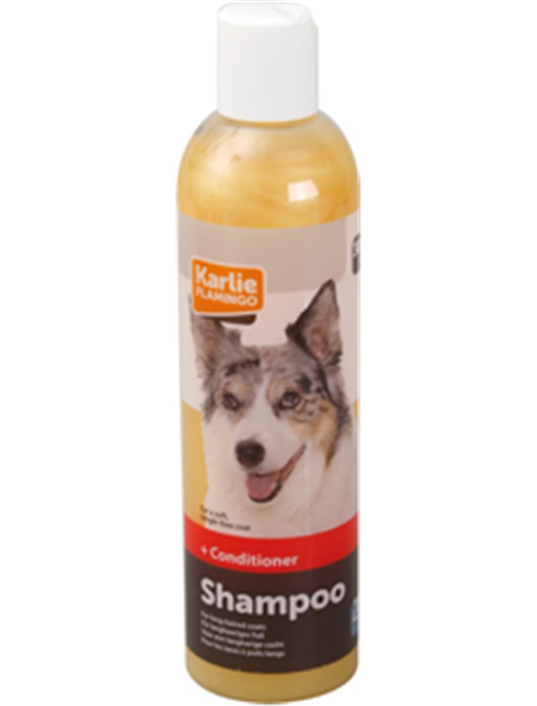 Shampoo+conditioner 2 in 1 300ml