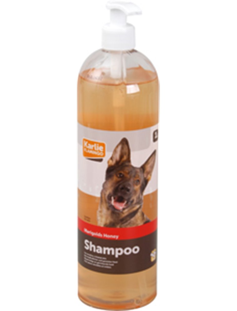 Goudsbloem-honing shampoo 1l