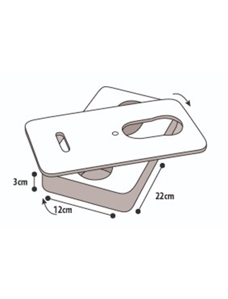 Wooden brain train thales 22x12cm