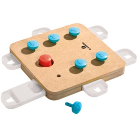 Doggy brain train cube 32x32x5cm 