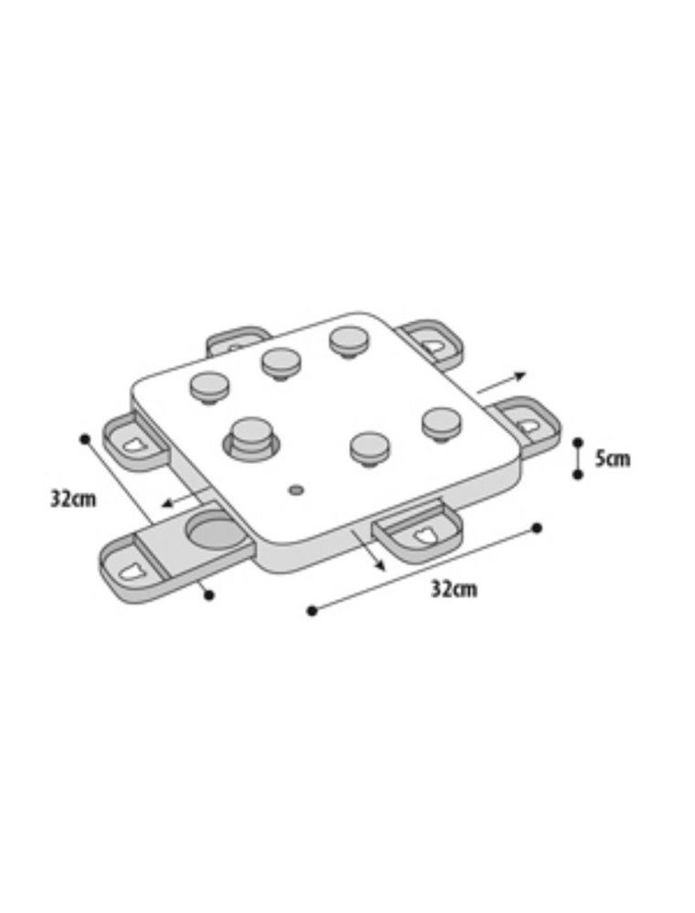 Doggy brain train cube 32x32x5cm