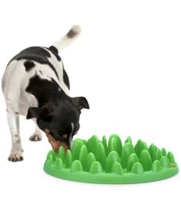 Northmate« green groen 40x30x10cm