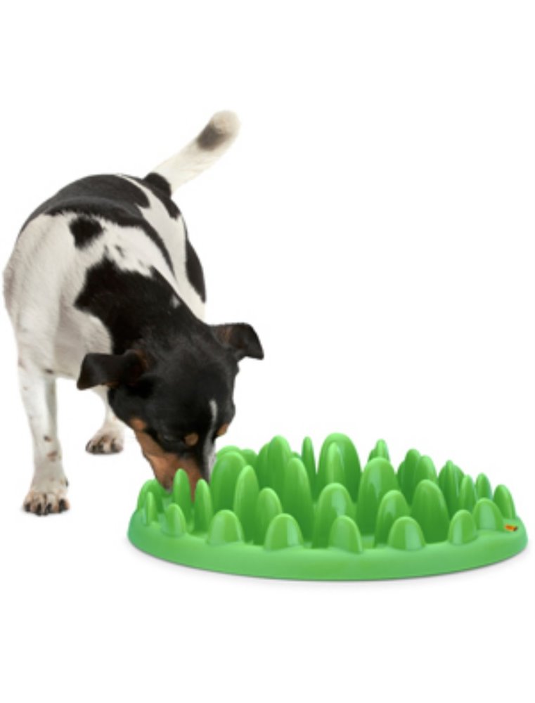 Northmate« green groen 40x30x10cm