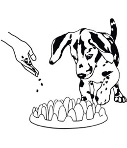 Northmate« green mini 29x22.5x7cm g