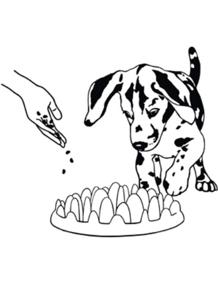 Northmate« green mini 29x22.5x7cm g