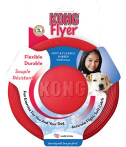 Kong flyer frisbee