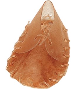 Schoentje klein 12cm - 20gr. 