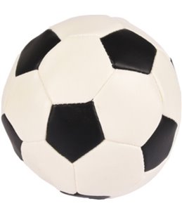 Voetbal groot