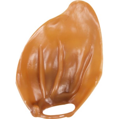 Veggie vegetarisch oor 