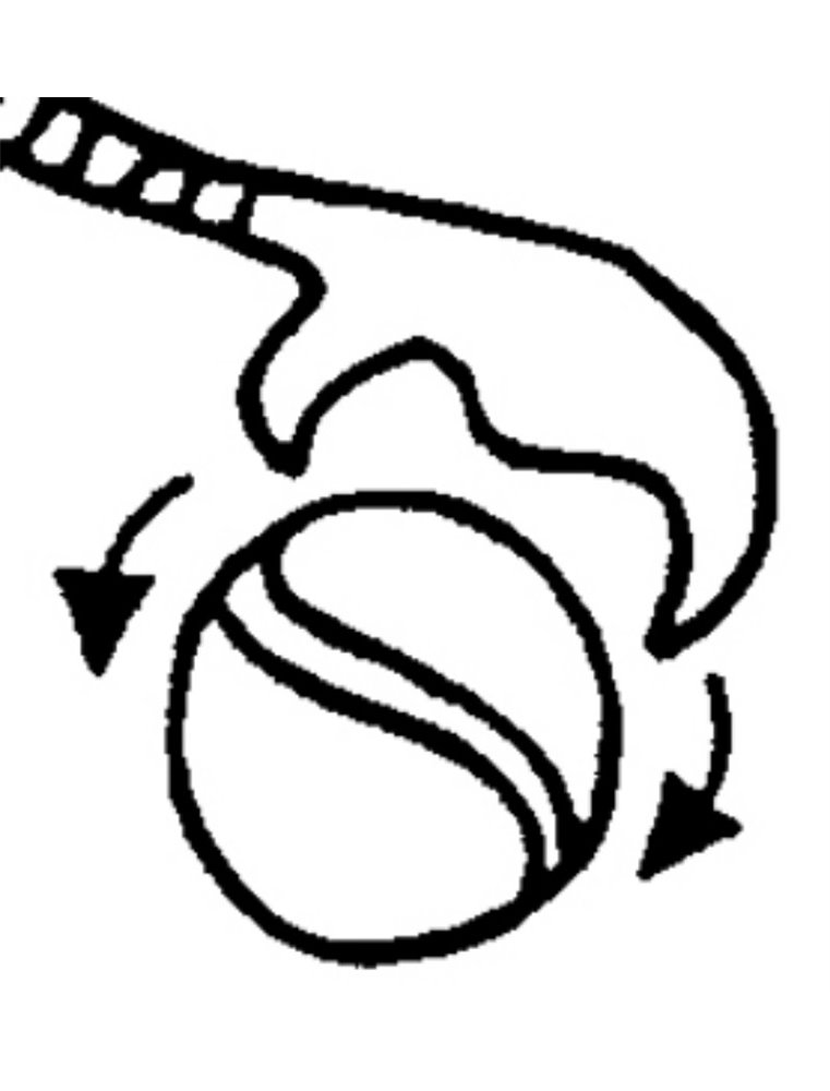 Shooter hawai tennisbal 65cm ass