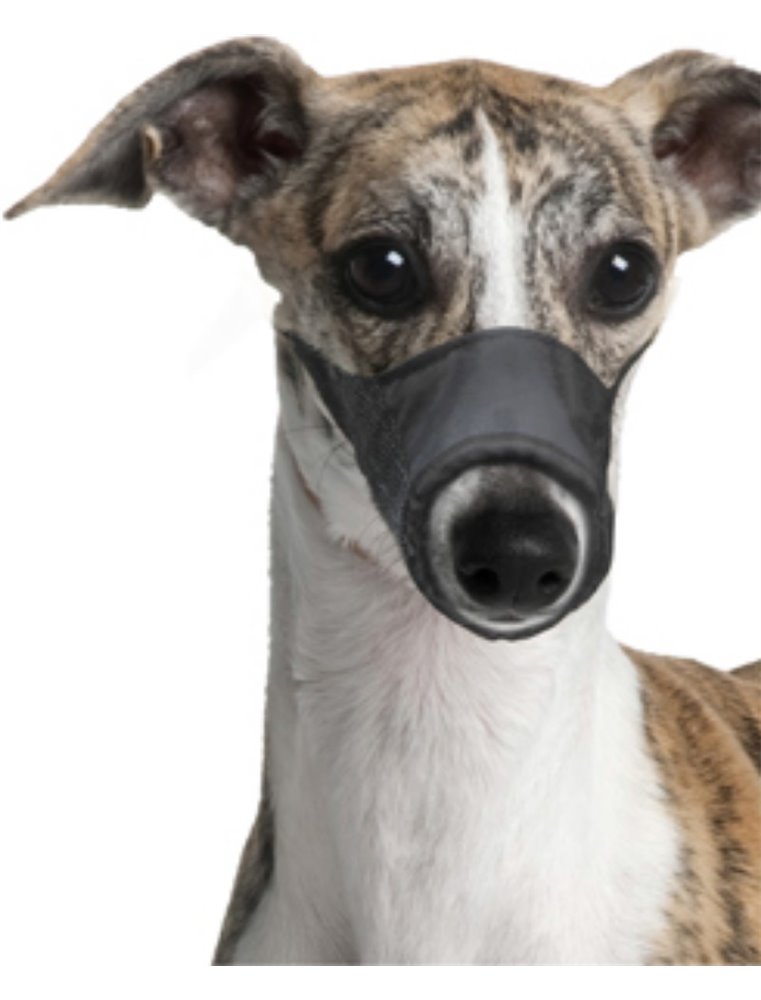 Muilband nylon xs 15cm 39-51cm zwart