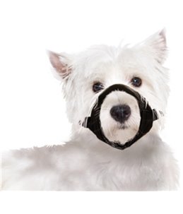 Muilband nylon s 17cm 43-64cm zwart