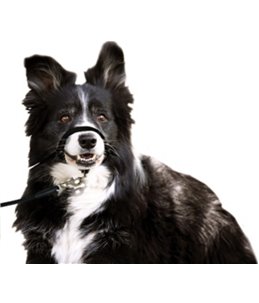 Easy leader zwart - s