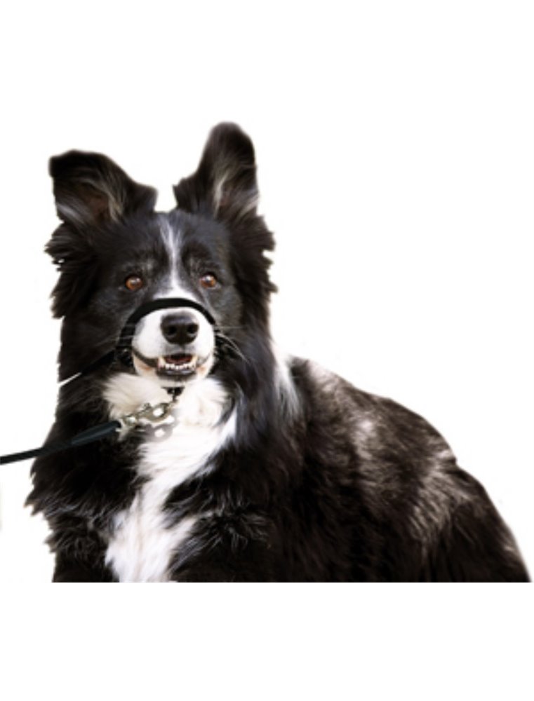 Easy leader zwart - s