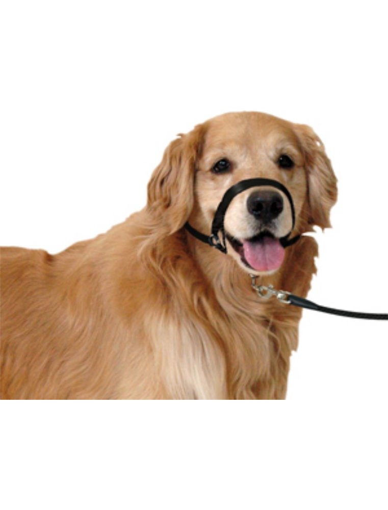 Easy leader zwart - m