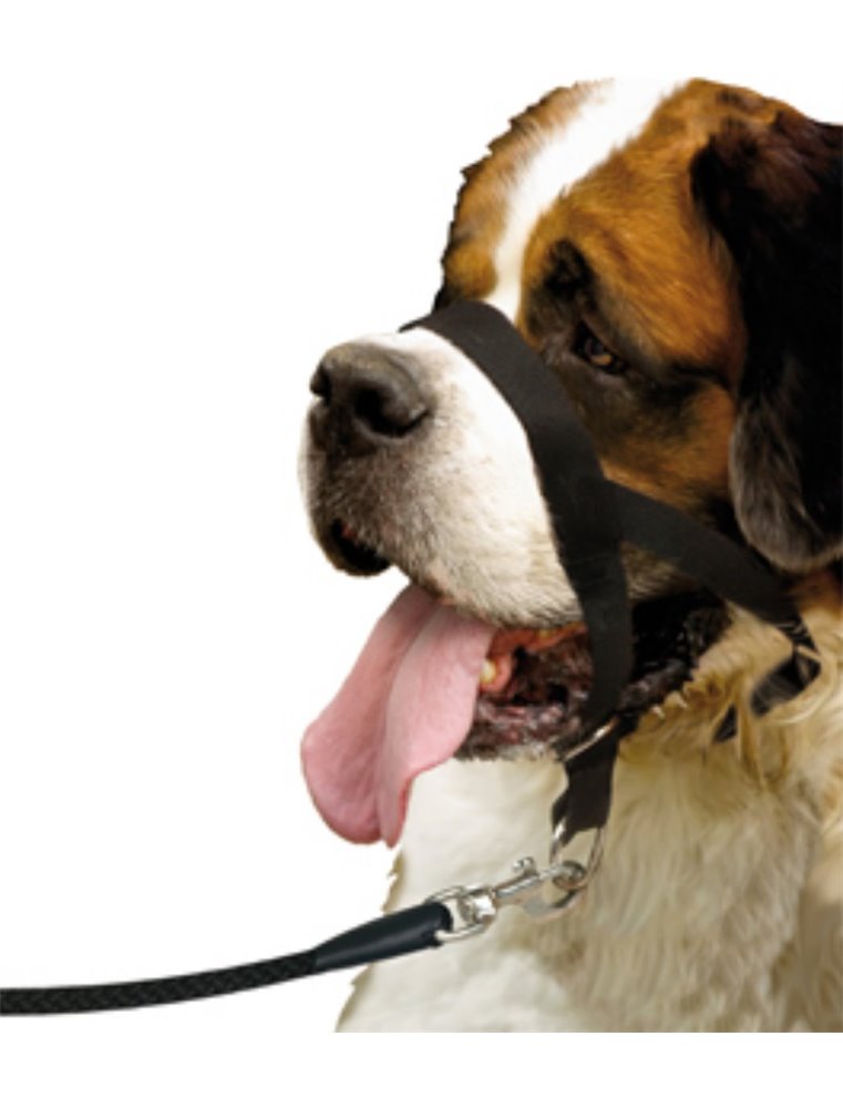 Easy leader zwart - xxl