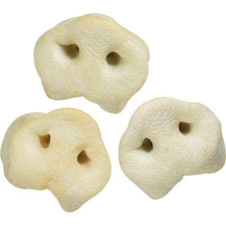 Nature varkensneuzen 