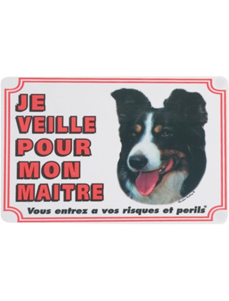 Waakbord fr - border colley