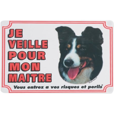 Waakbord fr - border colley 