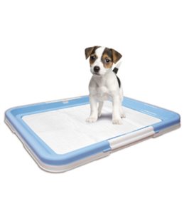 Puppy trainer m + 10 pads 60x40cm