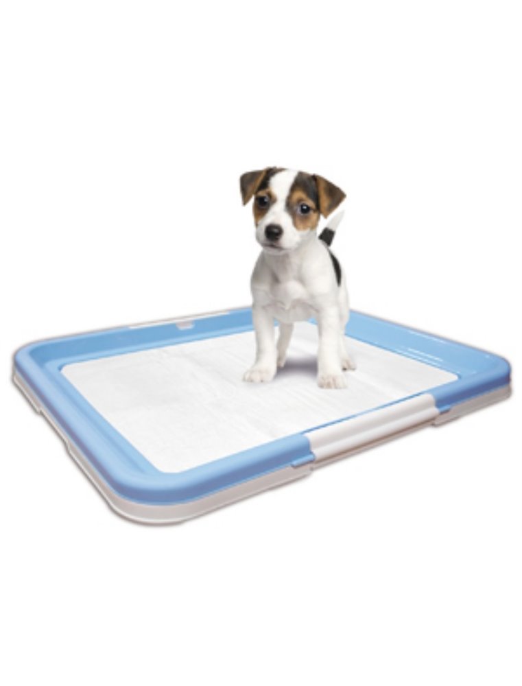 Puppy trainer m + 10 pads 60x40cm