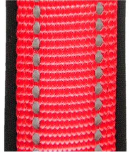 Chick'n snack chicken&rice dumbel 